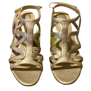 Naturalizer ~ Danya Platina SMTH ~ 8.5 M